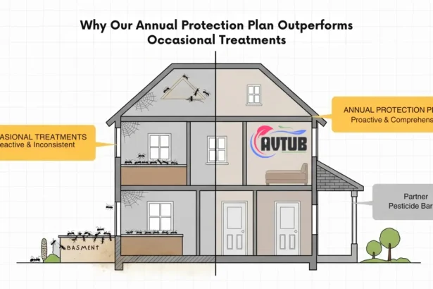 Why Our Annual Protection Plan Outperforms Occasional Treatments